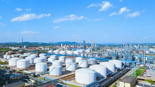 石油化工交易 高效透明的市場運作令人極度舒適